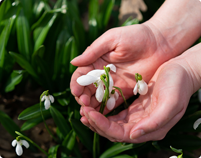 Eco-friendliness - Reduce paper waste